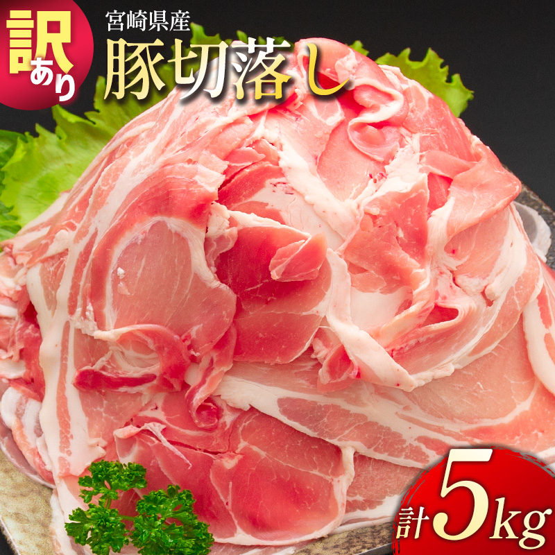 「訳あり」宮崎県産 豚切落し 5kg (500g×10パック)【C325】