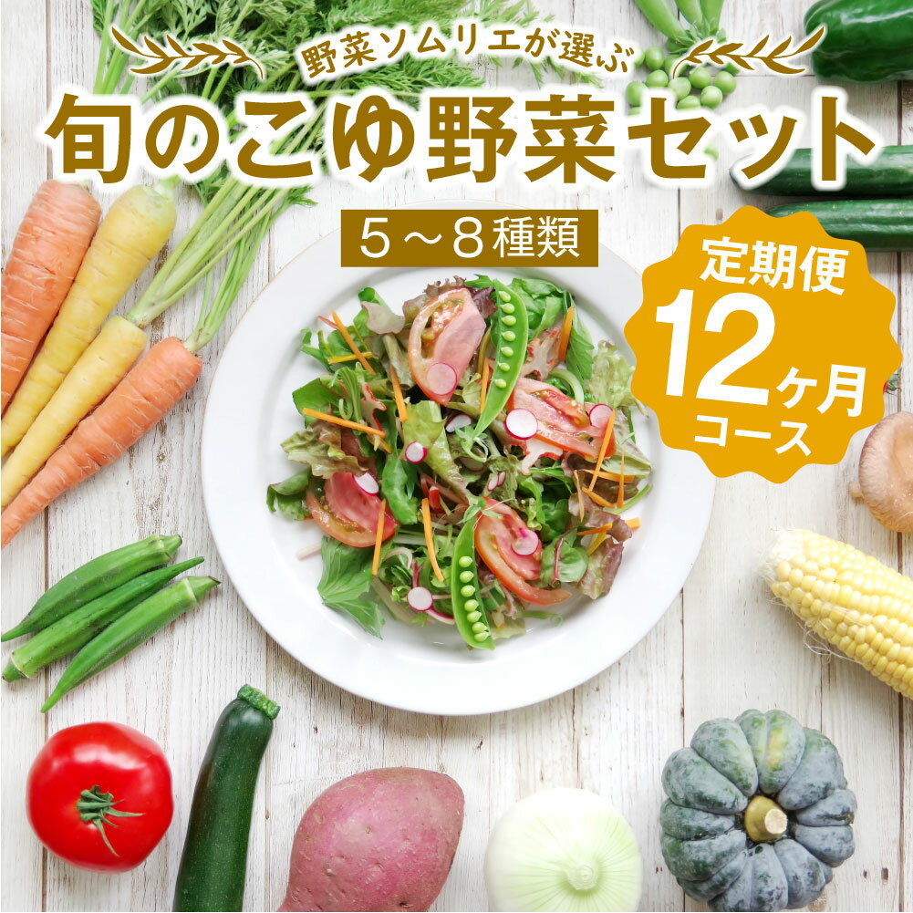 野菜ソムリエが選ぶ＜旬のこゆ野菜セット 12ヵ月コース 定期便＞【D17】