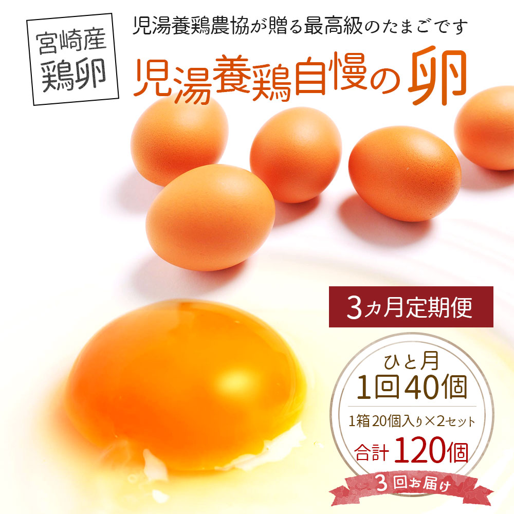 ＜児湯養鶏自慢の卵 計120個（40個×3回）＞3ヶ月定期便【C55】