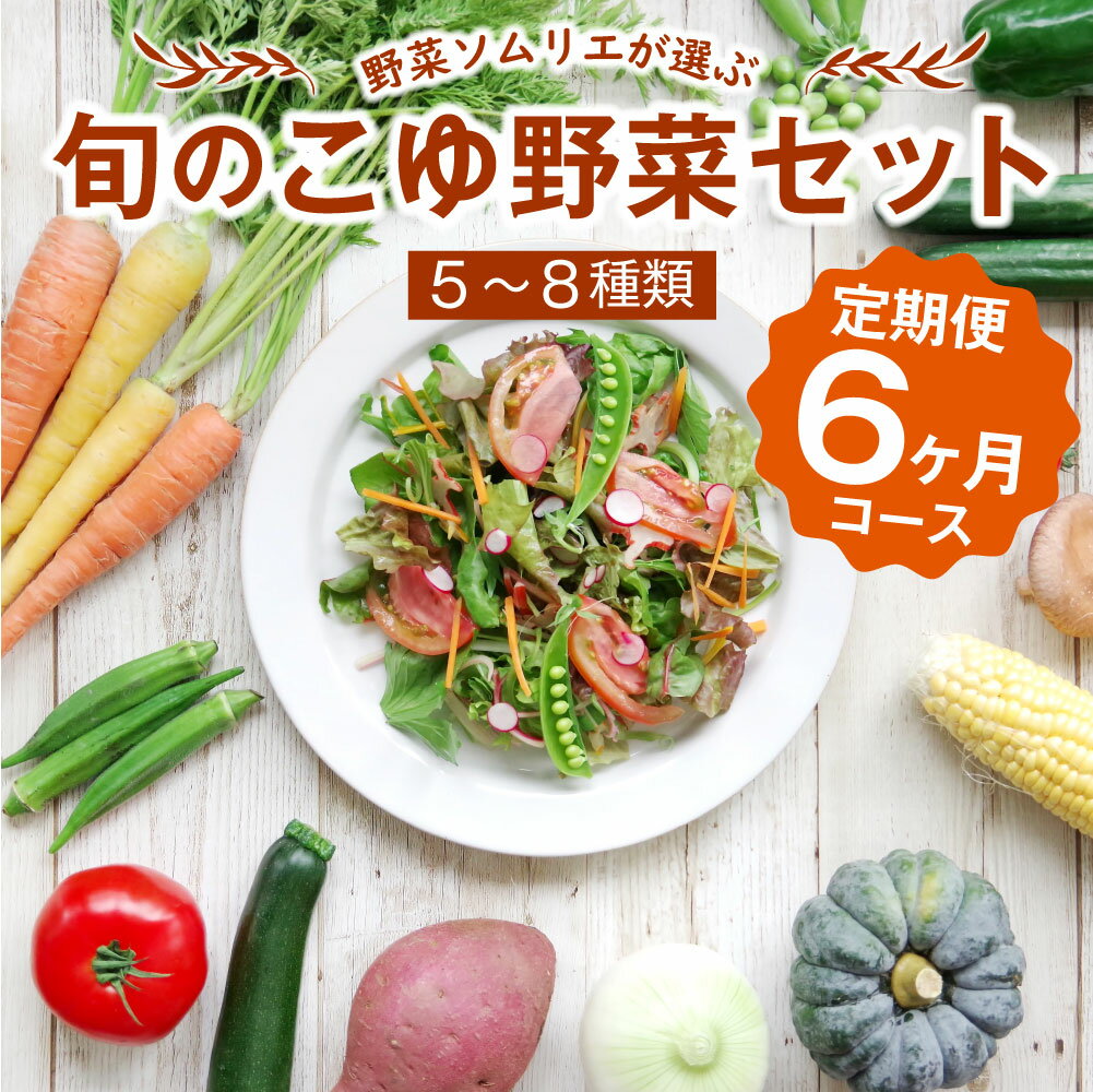 野菜ソムリエが選ぶ＜旬のこゆ野菜セット 6ヵ月コース 定期便＞【C77】