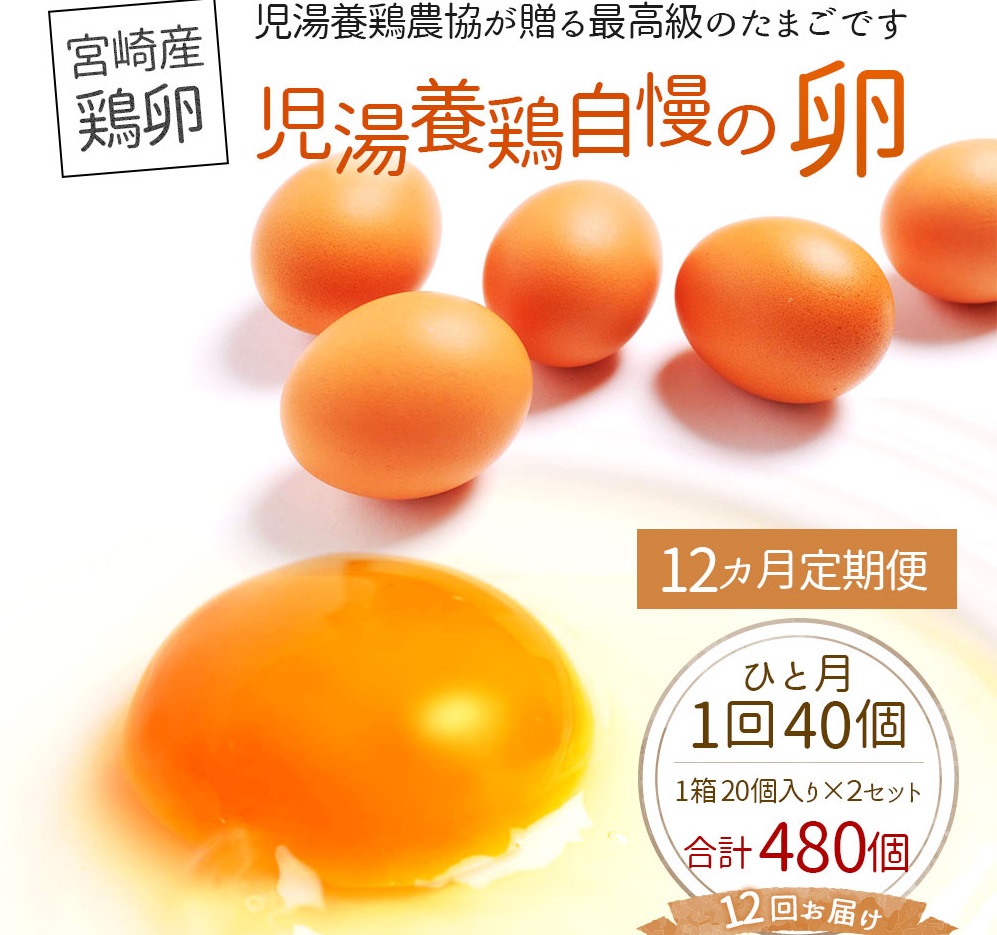＜児湯養鶏自慢の卵 計480個（40個×12回）＞12ヶ月定期便 【E19】 