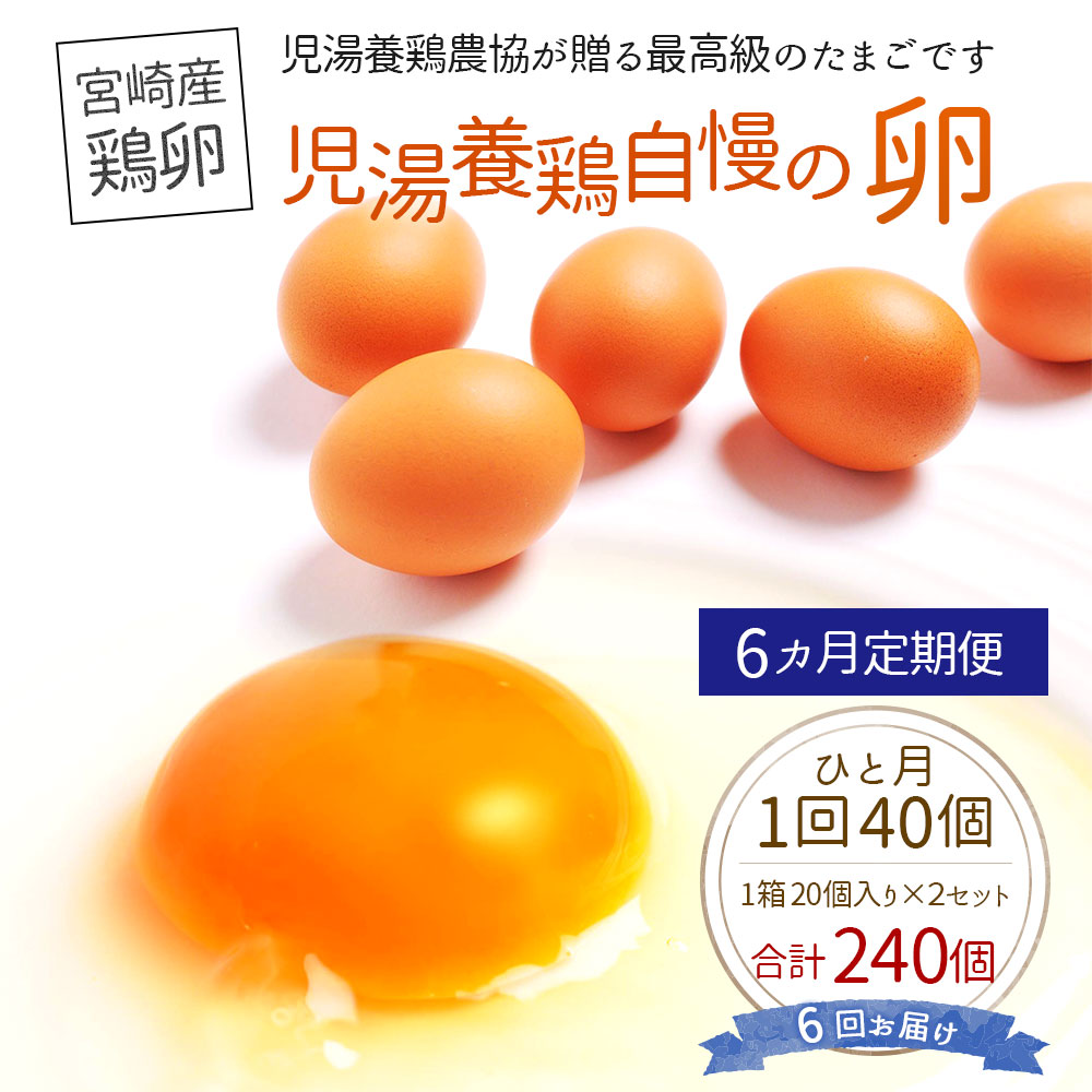 ＜児湯養鶏自慢の卵 計240個（40個×6回）＞6ヶ月定期便【D15】
